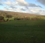 Mancuso Country Cottage Retreat - Tourism Gold Coast