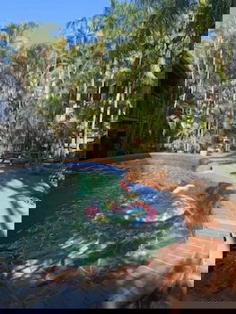 Frogshollow Backpackers - Gold Coast 2