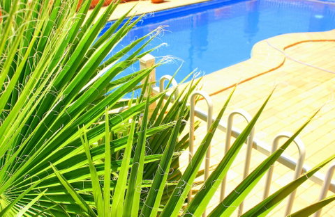 Roma Mid Town Motor Inn - Tourism Gold Coast 3