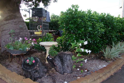 Acacia Motel - Tourism Gold Coast 2