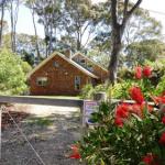 Dalmeny NSW Tourism Gold Coast