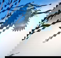 Tenterfield Cottage Holiday House - Tourism Gold Coast