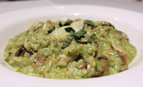 Biviano's At Windsor - Tourism Gold Coast 17