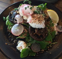 Cote Terra - Tourism Gold Coast