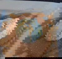 Rotunda In Williamstown - Tourism Gold Coast