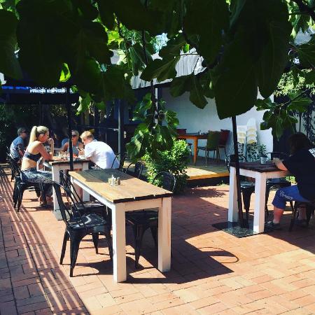 Blacksheep - Tourism Gold Coast 0