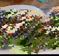 Food for All Seasons - Tourism Gold Coast