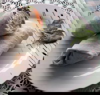 Cafe Lazat - Tourism Gold Coast