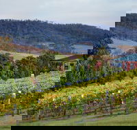 De Bortoli Winery  Restaurant - Tourism Gold Coast