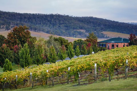 De Bortoli Winery & Restaurant - Tourism Gold Coast 0