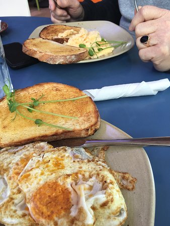 Beaumaris VIC Tourism Gold Coast