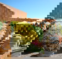 Stumpy Gully - Tourism Gold Coast