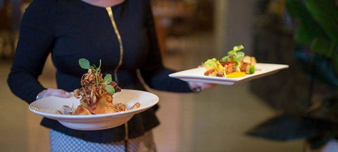 Cafe Amphora - Tourism Gold Coast 1