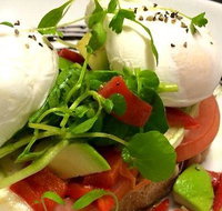 Wild Canary - Tourism Gold Coast