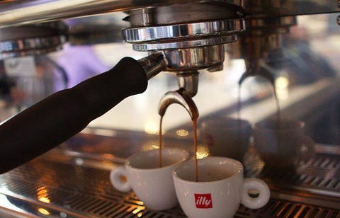 Wild Poppy Cafe - Tourism Gold Coast 5