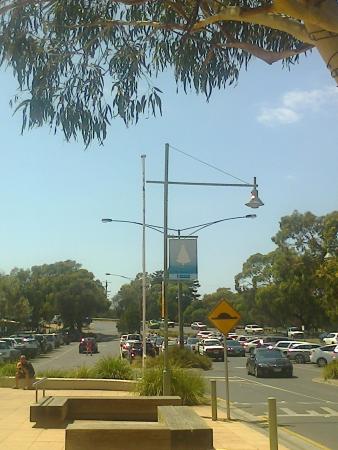 Anglesea Fish Shop - Tourism Gold Coast 0