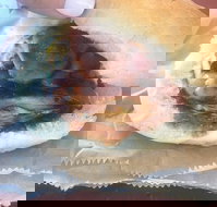 Avenel Cafe - Gold Coast