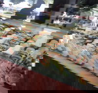 Camperdown Bakery - Tourism Gold Coast