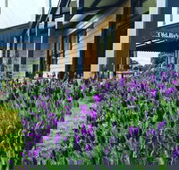 Dunkeld Old Bakery - Tourism Gold Coast