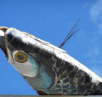 Fish Creek Hotel Motel - Tourism Gold Coast