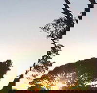 Mallacoota Golf  Country Club - Tourism Gold Coast