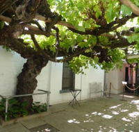 The Vine - Tourism Gold Coast