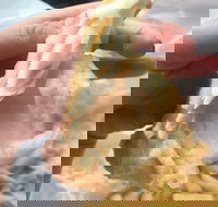 Coleraine Milk Bar - Tourism Gold Coast