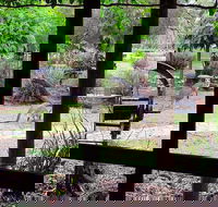 The Wander Inn - Tourism Gold Coast