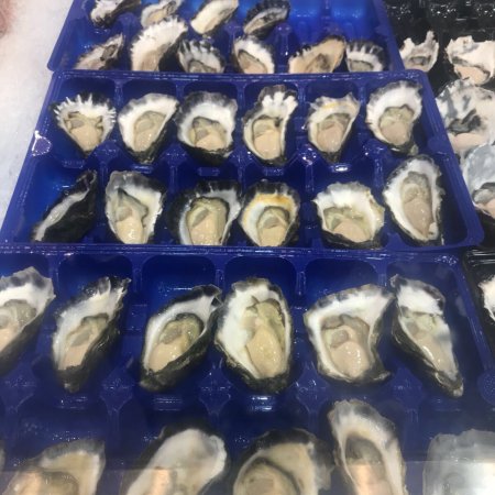 Sea Emperor - Tourism Gold Coast 0