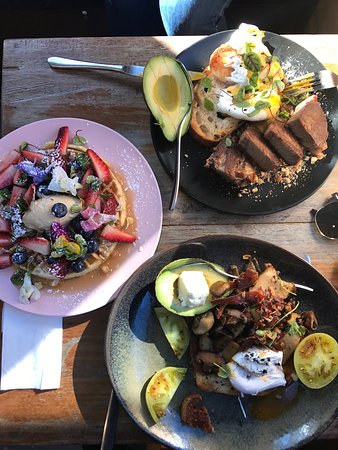 Celsius Coffee Co. - Tourism Gold Coast 0