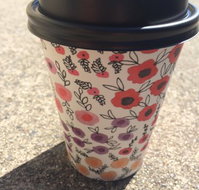 Scatter Bean - Gold Coast