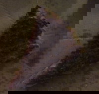 Pizza Paradise - Tourism Gold Coast