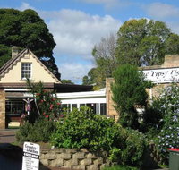 Tipsy Fig - Tourism Gold Coast