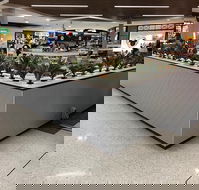 Coffee Gossip - Tourism Gold Coast