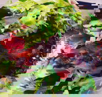 Bistro 6 Camden - Tourism Gold Coast