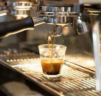 Black Bear Cafe - Tourism Gold Coast