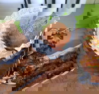 Hello Harry - Tourism Gold Coast