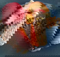 Whale Restaurant - Tourism Gold Coast