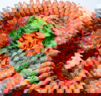 Evans Head Fishermens Co-Op - Tourism Gold Coast