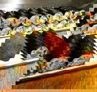 Freewave Sushi  Burgers - Tourism Gold Coast