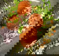 Ollie Masons Cafe - Tourism Gold Coast