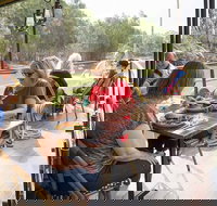 Redgums on PS Emmylou - Tourism Gold Coast