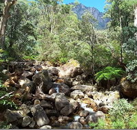 Star Chinese Restaurant - Gold Coast