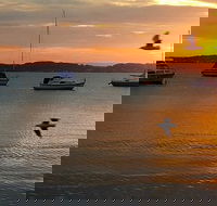 Common Circus - Tourism Gold Coast