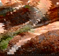 Familiar Takeaway - Tourism Gold Coast