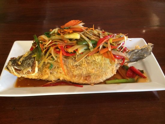 Bureen NSW Tourism Gold Coast