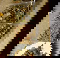 Holbrook Chinese Restaurant - Tourism Gold Coast