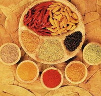 Tehzeeb Indian and Australian Restaurant - Tourism Gold Coast