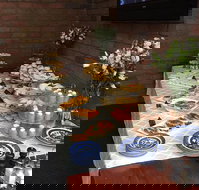 Colony Inn Hotel - Tourism Gold Coast