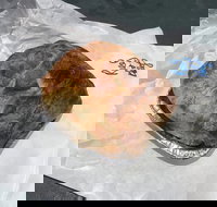 Country Kitchen Gourmet Pies - Tourism Gold Coast